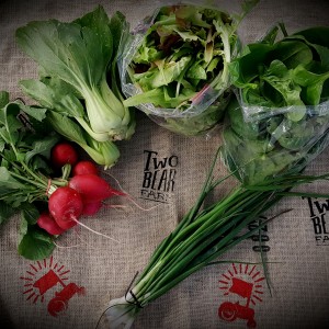 Burlap is the new black…..Week #1 CSA share.