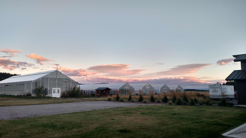 Taking a moment to enjoy a fall sunset on the farm.