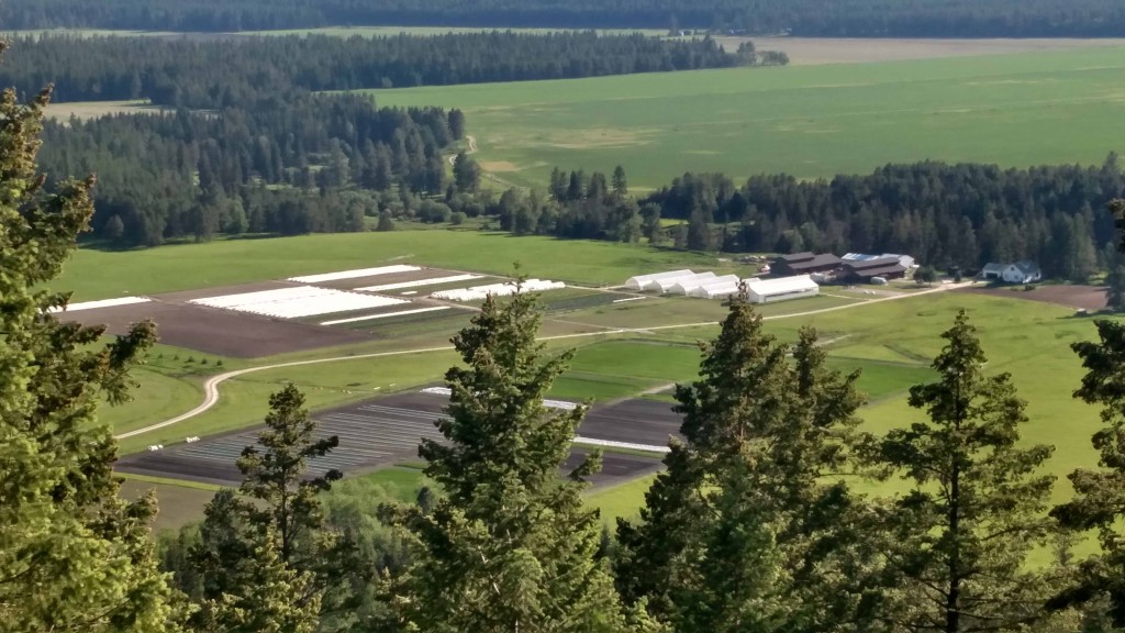 View of the farm from the Spencer South trails