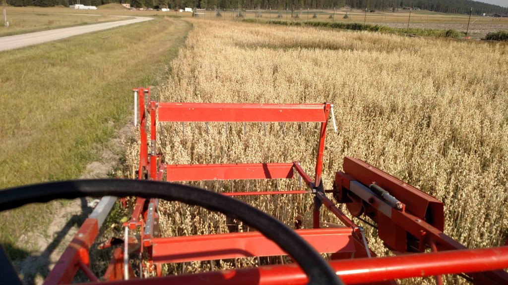 Harvesting oats....