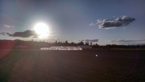 Late evening tillage session in the new field