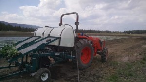 The new water wheel transplanter